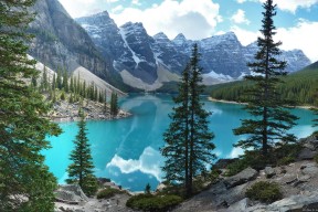 九游官网-_老将带领奇才，战斗精神令人敬佩_，老将挂帅出征