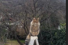 九游娱乐-_城市空中自行车锦标赛：穿越天际线_，城市天际线 自行车