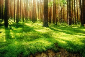 九游体育入口-《电竞选手的生活日常：训练、娱乐、休息全纪录》，电竞职业选手生活日常