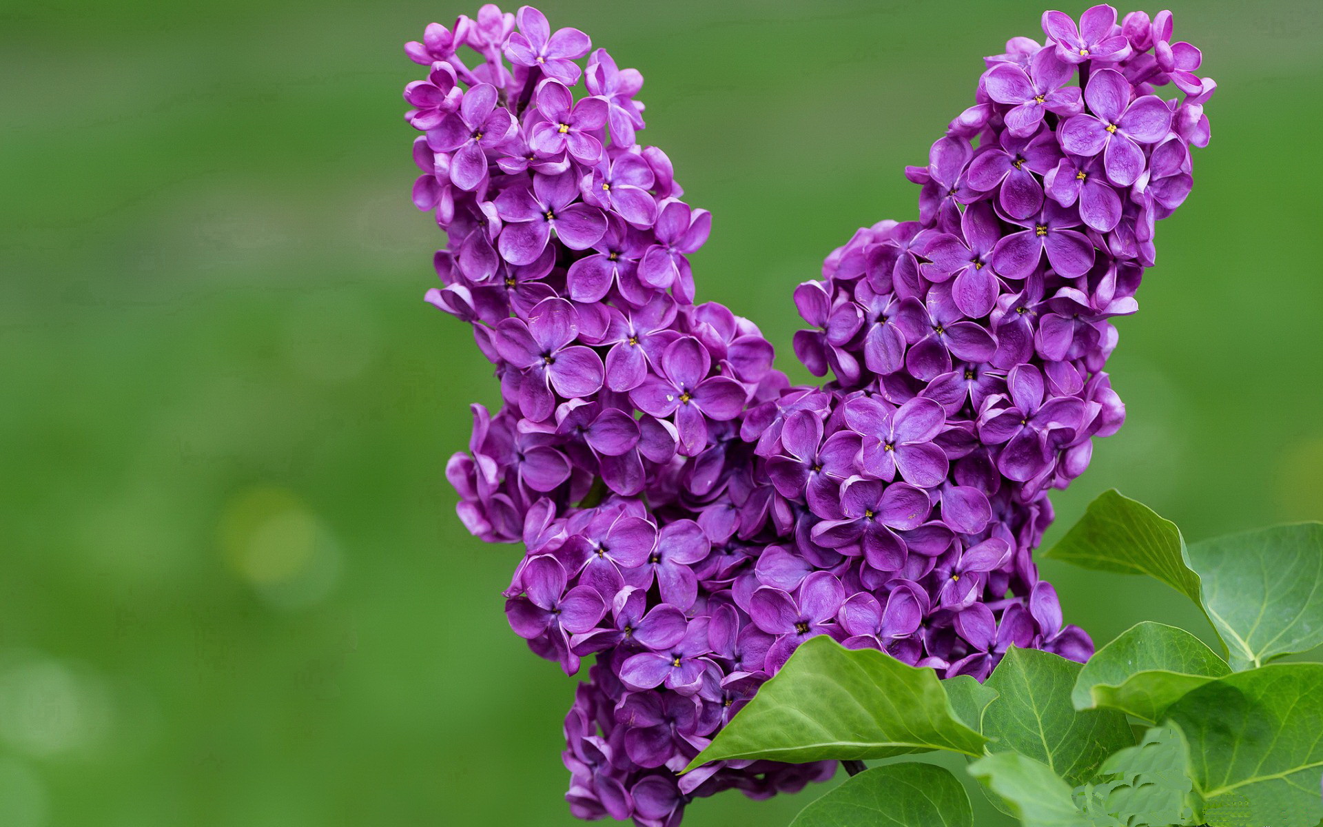 VR技术融入青训,虚拟实战场景助成长,带你玩转vr虚拟现实课程介绍