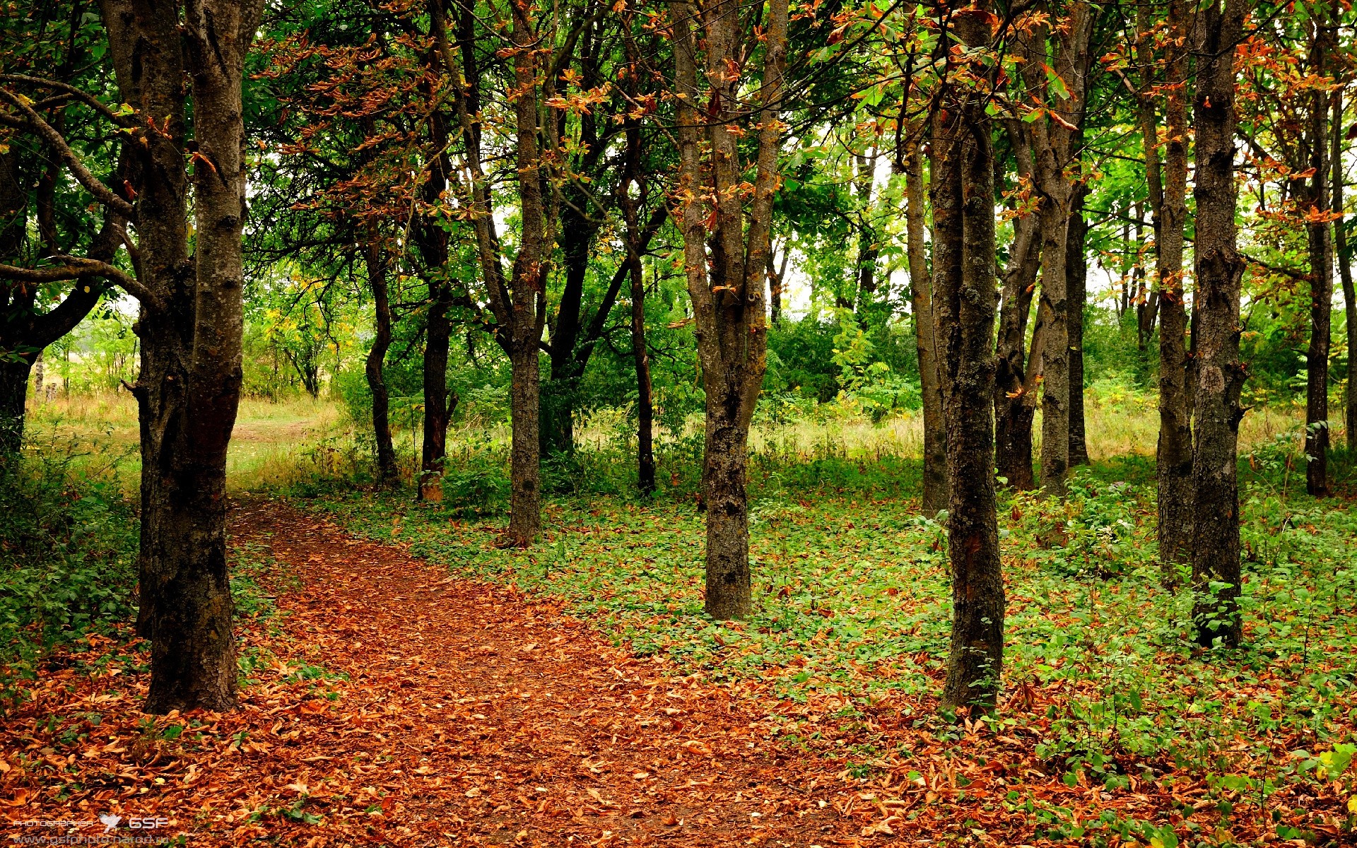 _新兴盛事:社区举办的小型街头网球赛_,网球进社区策划方案