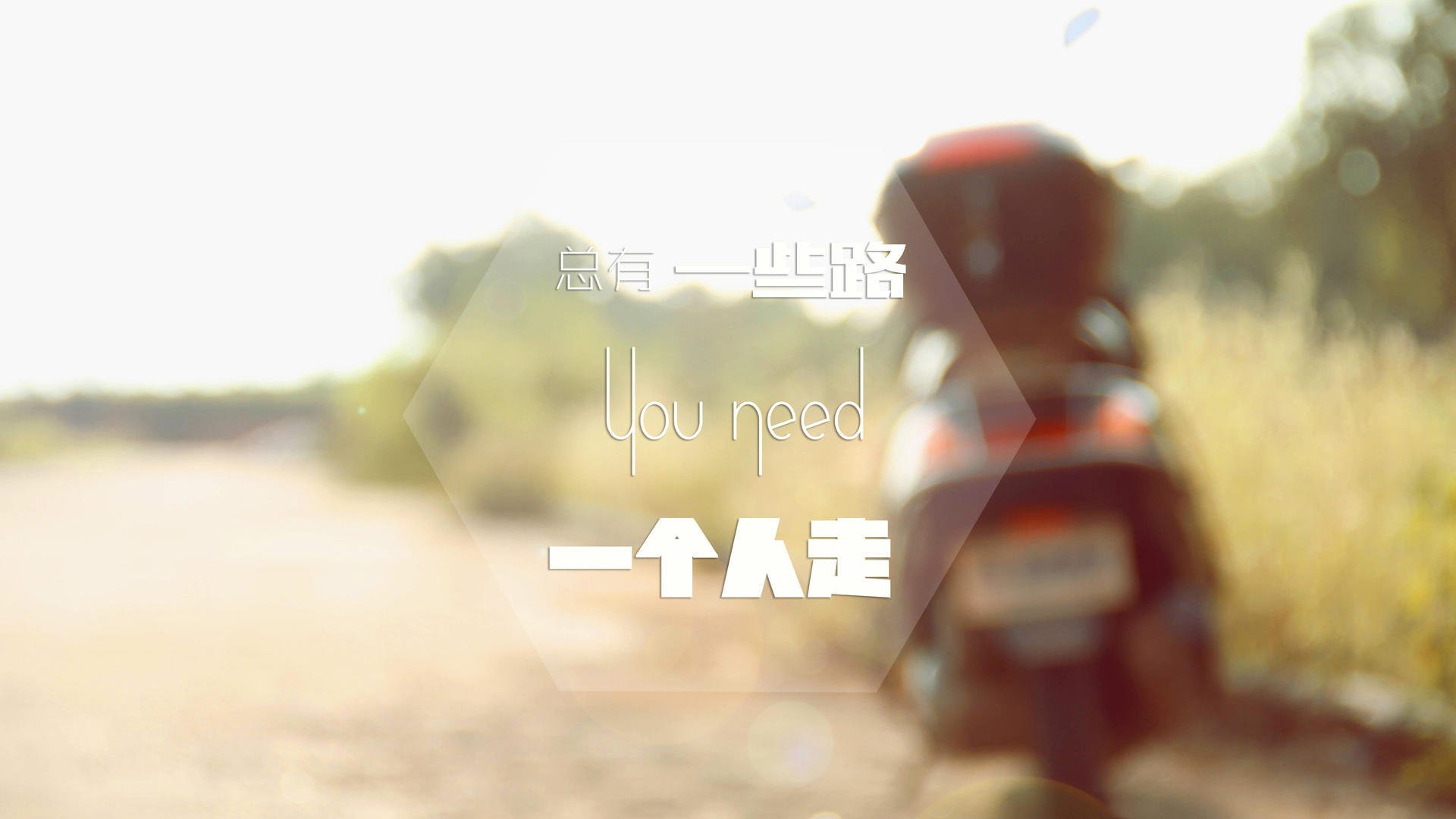 “德甲关键比赛:胜负关系到榜首归属”,德甲全程