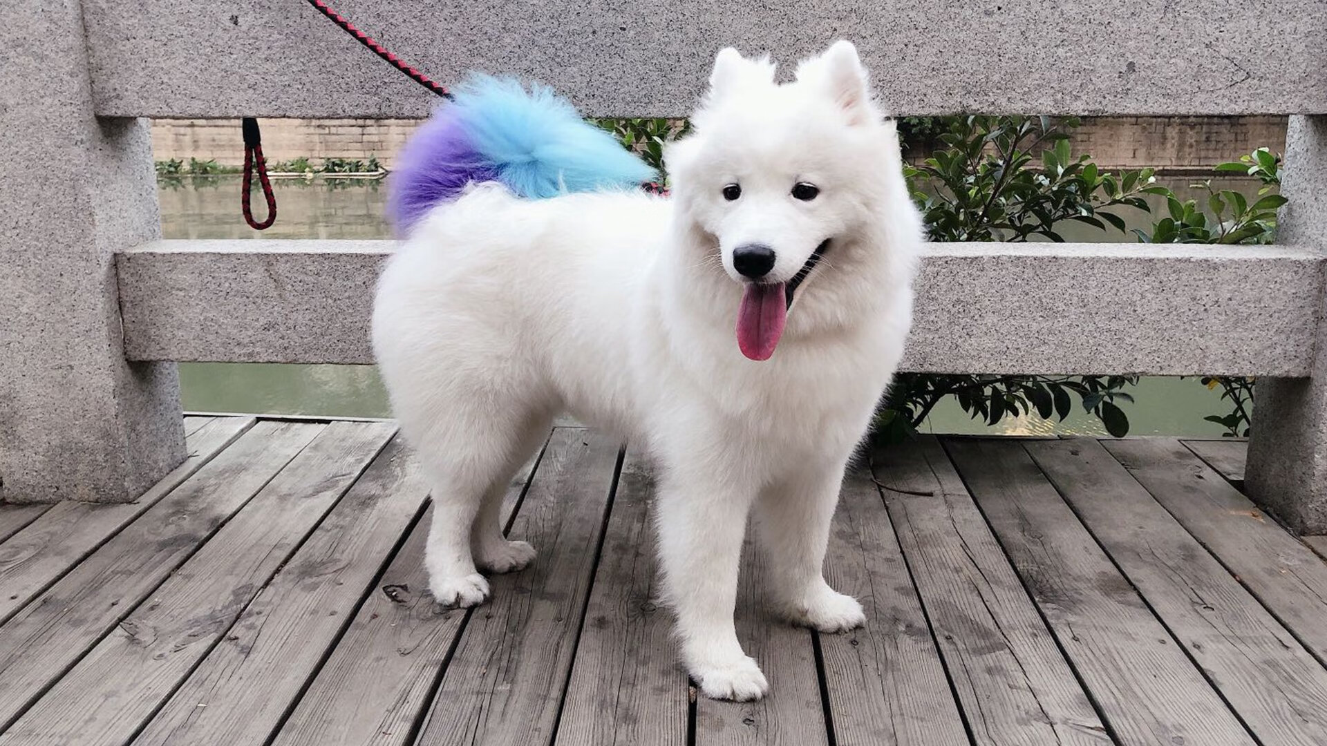 “青春启航”青少年篮球文化巡展在上海全面展开，弘扬体育精神