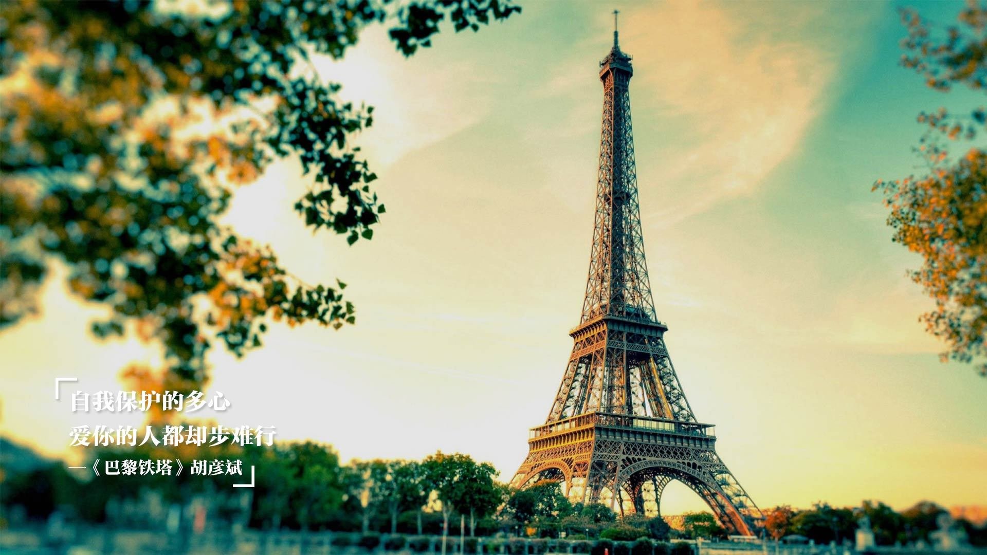 国家马术队引入国际专家，提升训练质量，国家马术指导